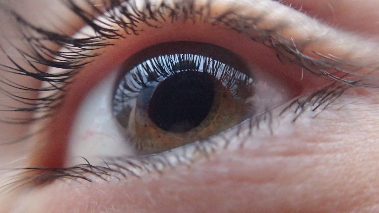 Oftalmologi: mørke pletter foran øjnene.  Hvad kan de betyde?